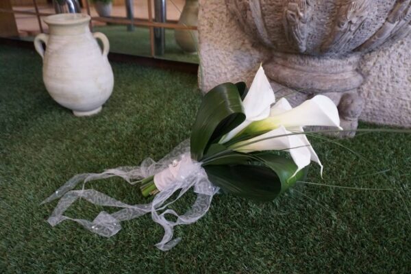 19 (1) Callas