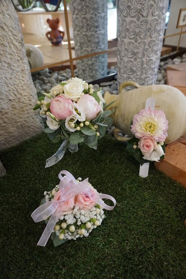 1q Sweet Peony