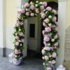 Sweet Peony