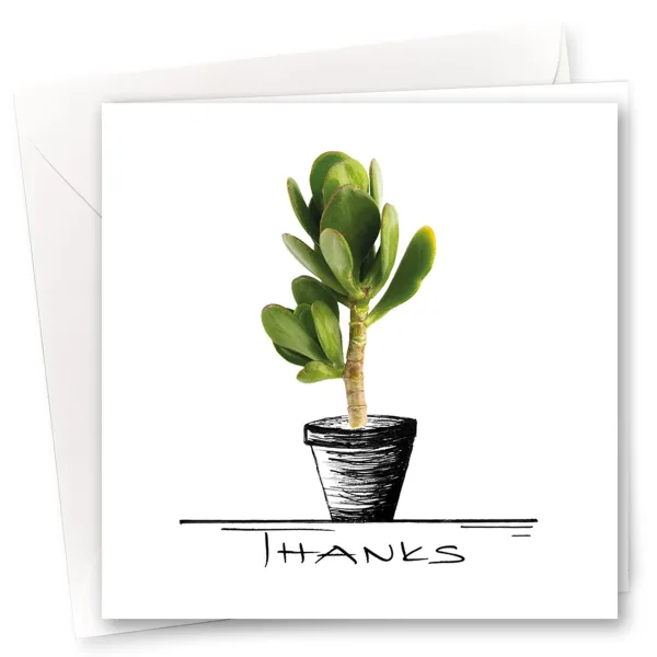 Thanks!