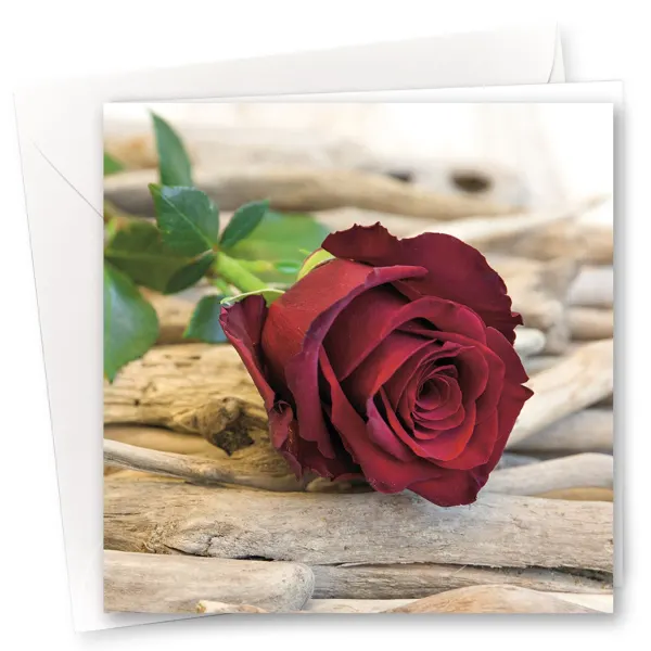 Amore & Affetto