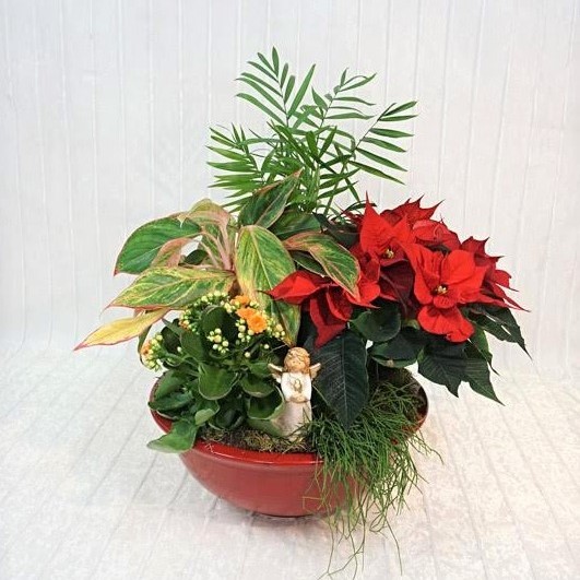 ciotola_natalizia_1 Ciotola Mista Natalizia