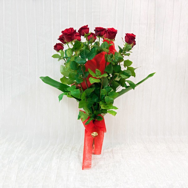 dsc01546 (1) 12 Rose Rosse a gambo lungo