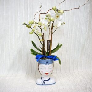 Miss Orchid