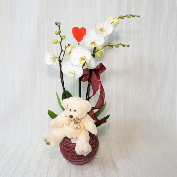orchinnwhite Orchidea degli Innamorati
