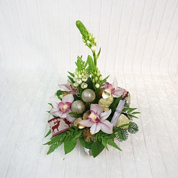 spirito_festoso Spirito Festoso