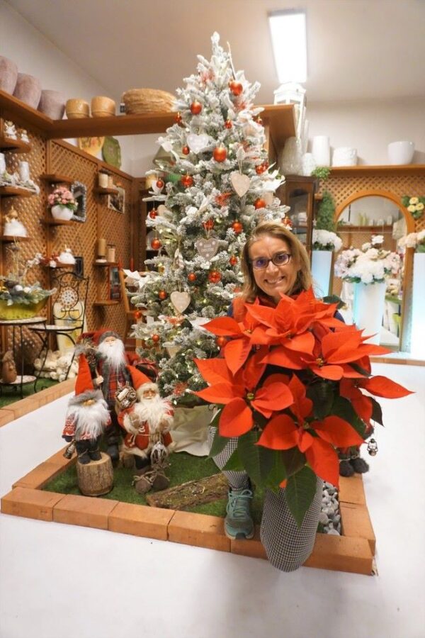 stw Stella di Natale Decorata