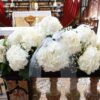 Sogno d'Amore