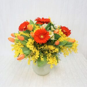 dsc00156_1 Mimosa & Fascino