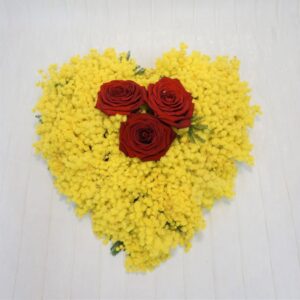 dsc00157 Cuor di Mimosa