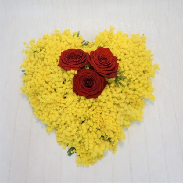 dsc00157 Cuor di Mimosa