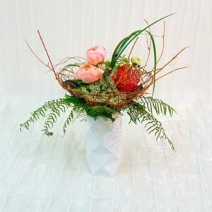 dsc01151_1 Augurio Speciale!