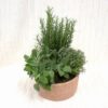 Aromatiche