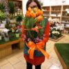 Giardino di tulipani