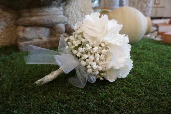 orte Ortensie & Gypso
