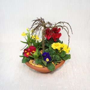 Risveglio della Natura