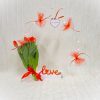 Bright Love