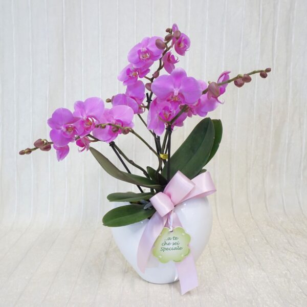 sei speciale a te che Orchidea " A te che sei Speciale"