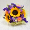 Summer in Provence