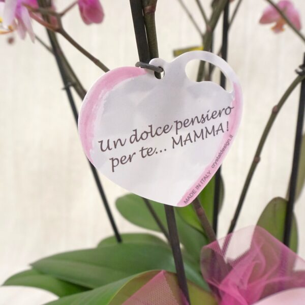 tz6 Orchidea per la Mamma!