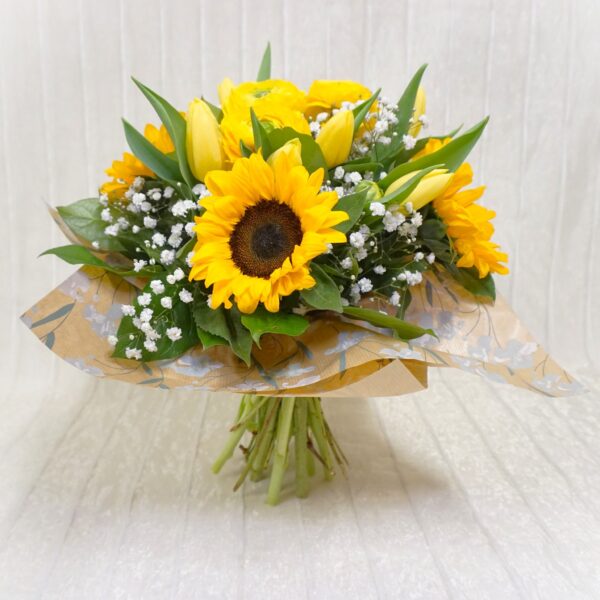 34q1a GialloComErSole