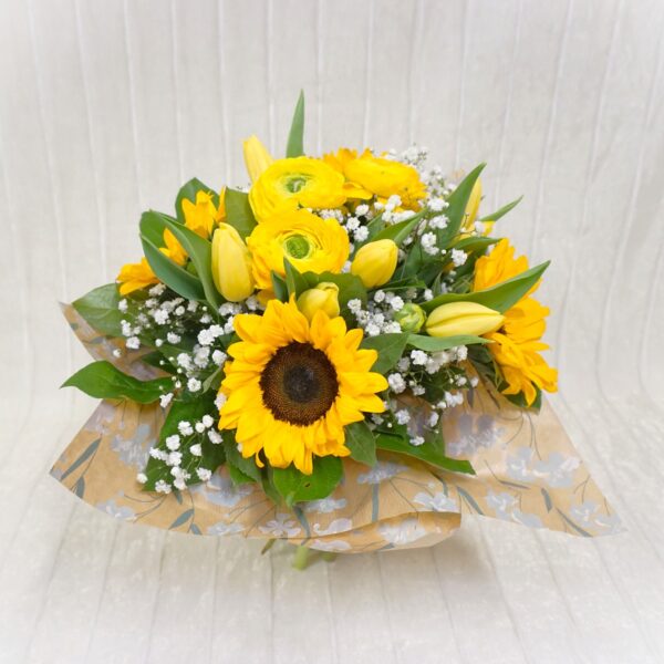 34q2a GialloComErSole