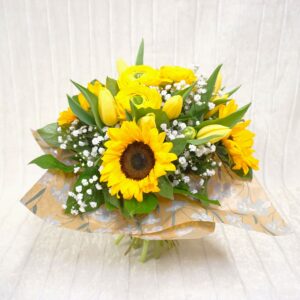 34q3a GialloComErSole