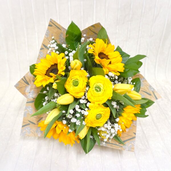 34q5a GialloComErSole