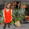 Pianta di Strelitzia